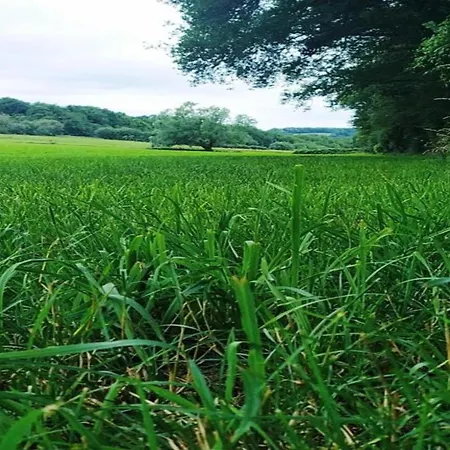 In Near Ourthe River Lejlighed Durbuy