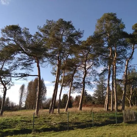 Lejlighed In Near Ourthe River