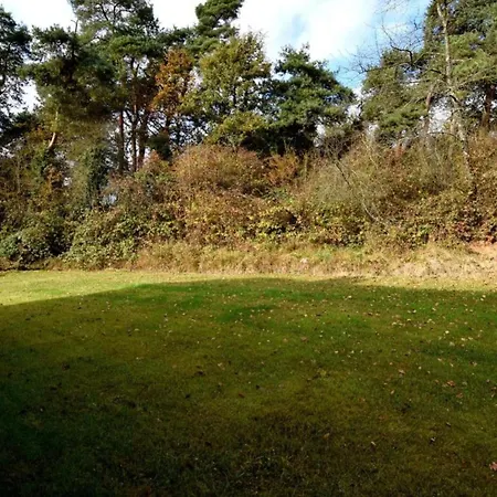 In Near Ourthe River